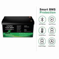 Batterie LiFePO4 à semi-conducteurs 12,8 V 200 Ah 2,56 kWh, remplacement de batterie plomb-acide à décharge profonde, IP68, BMS 50 A avec écran LCD, 6000+ cycles