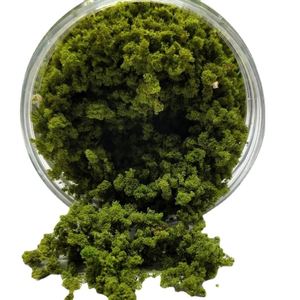 Poudre de flocons de particules grossières OEM pour terrains de wargames et matériaux de modélisme ferroviaire - Product Image 1