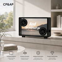 Enceinte Bluetooth avec écran LCD transparent, paroles flottantes, subwoofer intelligent Hi-Fi sans fil, audio domestique Android WiFi