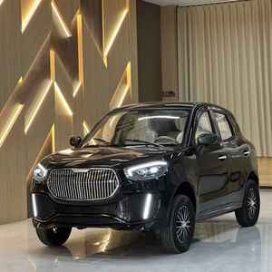 <span class=keywords><strong>Prix</strong></span> le plus bas, <span class=keywords><strong>voiture</strong></span> <span class=keywords><strong>électrique</strong></span> à énergie nouvelle <span class=keywords><strong>de</strong></span> haute qualité, fabriquée en Chine, sans permis <span class=keywords><strong>de</strong></span> conduire requis pour la mobilité sur les routes rurales - Product Image 1