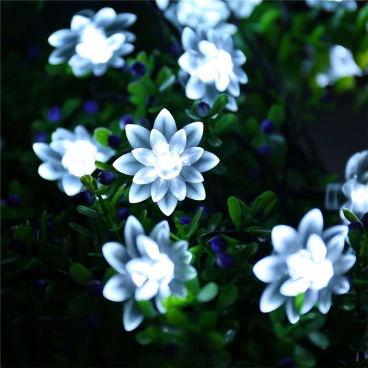 Blanc froid