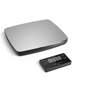 Báscula Digital Inteligente Veidt Weighing High, Báscula Postal Electrónica SF-881, Mide hasta 1g en Incrementos - Product Image 1