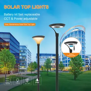 Lampu Taman surya, lampu tiang atas Led surya IP66 IK08 baterai dapat diganti cahaya luar ruangan lampu taman surya untuk taman