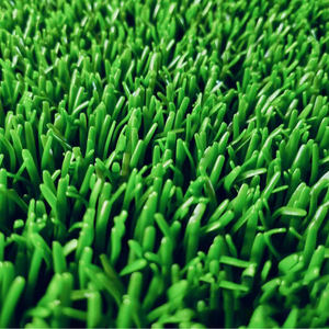 <span class=keywords><strong>Gazon</strong></span> Dreamturf pour l'exploitation minière, <span class=keywords><strong>gazon</strong></span> Dreamturf pour l'exploitation minière - Product Image 3