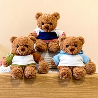 Ours en peluche personnalisé avec logo et tenues sur mesure, jouet en peluche doux pour la personnalisation de marque de personnage IP