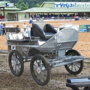 Chariot d'entraînement professionnel à 4 roues pour <span class=keywords><strong>marathon</strong></span> de loisirs avec entraînement de coffre Chariot de transport de chevaux équestre pour la vente en gros - Product Image 2
