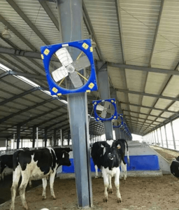 Ventole di raffreddamento industriali a 38 pollici di circolazione dell'azienda avicola del grande ventilatore dell'elica per la serra - Product Image 2