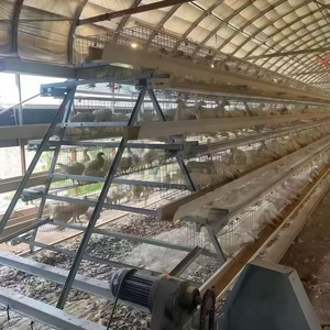 Nouvelle cage à poules automatique en acier galvanisé et alliage d'aluminium, 3 niveaux, 4 portes, poulailler pour 96 poules pondeuses - Product Image 4