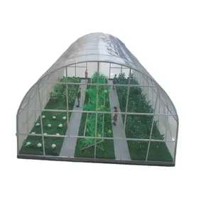 Invernadero de túnel de jardín de plástico para agricultura, invernadero para cultivo de plantas al aire libre, casa caliente, tienda de cultivo, casa cálida