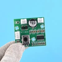Mini amplificateur audio mono haute puissance, module amplificateur numérique Hi-Fi 60W, compatible 12V/24V