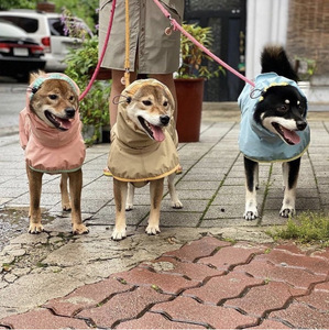 Impermeable Reflectante para Perros, Poncho para Lluvia, Capa con Capucha Ajustable para Todas las Estaciones, para Paseos al Aire Libre - Product Image 4