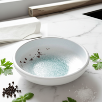 Service de table en mélamine bleu durable et luxueux, incassable, conçu sur mesure dans un style nordique, parfait pour les fêtes de famille et les restaurants