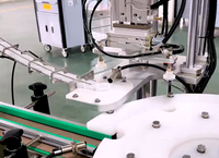 Machine d'emballage et de capsulage automatique à haute précision à tête unique