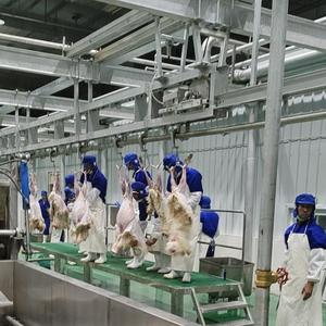 Chaîne de production automatisée avancée pour l'abattage de chèvres – Équipement d'abattoir en acier pour la transformation de viande halal - Product Image 4