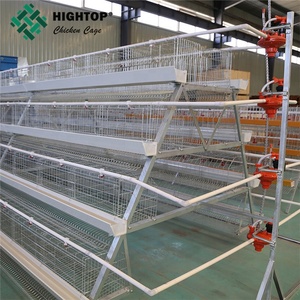 Nigeria Uganda mercado Zambia galvanizado jaula <span class=keywords><strong>pollo</strong></span> huevo - Product Image 4