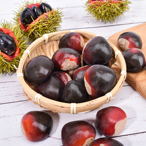 ถั่วเกาลัดจำลองถั่วผลไม้<span class=keywords><strong>ปลอม</strong></span>สำหรับการศึกษาปฐมวัยสำหรับ<span class=keywords><strong>ต</strong></span>กแ<span class=keywords><strong>ต</strong></span>่งคริส<span class=keywords><strong>ต</strong></span>์มาส - Product Image 2