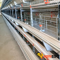 Système de cages à poulets en batterie Agrieso avec collecte manuelle des œufs et du fumier pour l'élevage avicole