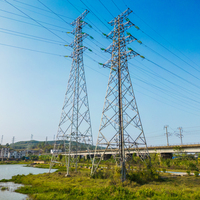 Tour de puissance FUHANG FH04 personnalisée tour en treillis angulaire en acier pour les lignes de distribution d'énergie 110-550kV 50 ans de durée de vie chaude