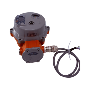 Actionneur antidéflagrant Radiant 24V 110N.m, en aluminium moulé sous pression - Product Image 1
