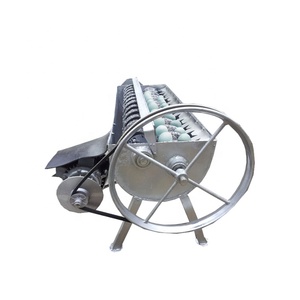 Incubateur d'œufs solaire direct usine / Incubateur d'œufs à énergie solaire / Incubateur d'œufs solaire automatique pour les pays africains - Product Image 2