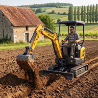 Mini-excavatrice 1 tonne sur chenilles avec bras et lames, compacte, hydraulique, à rotation zéro