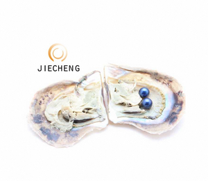 Tình Yêu Ngọc Trai Quà Tặng AAA Chân Không Đóng Gói Hỗn Hợp Cặp Song Sinh Akoya Mặn Pearl Hàu Bán Buôn <span class=keywords><strong>Oyster</strong></span> Vỏ - Product Image 1