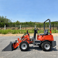 Mini Caricatore Elettrico Ecologico a Batteria per Fattoria con Pompa e Ingranaggi, Basso Costo Operativo, Caricatore Frontale Compatto in Vendita