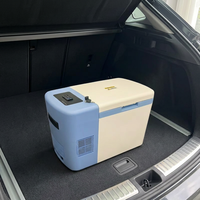 Congélateur portable 25L à ultra-basse température (-80°C) avec dégivrage automatique et 1 porte
