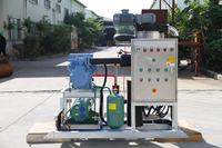 Machine à glace électrique, pour la congélation des fruits de mer, 3T/24H