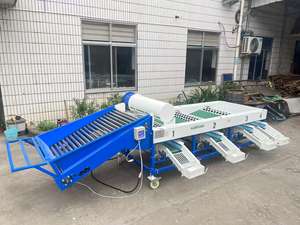 Máquina Clasificadora y Empacadora de Frutas Perfecta, Línea de Clasificación de Frutas, Máquina Clasificadora y Limpiadora de Frutas y Verduras - Product Image 5