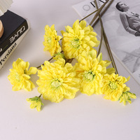 Bunga Artificial Dahlia Musim Semi/Gugur Dekorasi Rumah Lembut Gaya Nordic Set Dekorasi Pernikahan Cetakan Injeksi & Pencetakan 3D