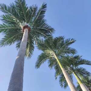 YRYZ25 Faux King Palm Tropical Ornemental Plastique Fibre de Verre Planttall <span class=keywords><strong>Géant</strong></span> Grand Palmier Artificiel Cocotier - Product Image 3