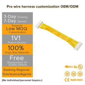 Кабельные сборки для электропроводки на заказ: 2-контактный разъем (гнездо) для ремонта и обслуживания – удобные и надежные - Product Image 3