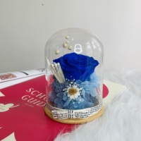 Nouveau produit 2022 Ins, fleurs conservées, roses conservées dans un dôme en verre pour cadeau