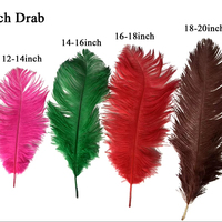 Plumes d'Autruche Naturelles pour Fête, Carnaval, Maison, Centre de Table de Mariage, Vase de Noël, Décoration Artisanale Florale, 20-30cm