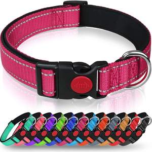 puka shell dog collar