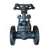 Katup Gerbang Manual Flens Baja Tempa Standar Z41H/Y-150LB API