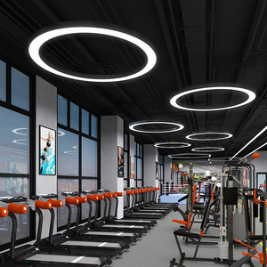 Thương Mại Bắc Âu Trần Chiếu Sáng Đèn Chùm Thay Đổi Độ Sáng LED Tuyến Tính Ánh Sáng Có Thể Điều Chỉnh Chiều Cao Treo Đèn Hot Bán Thương Mại - Product Image 1