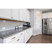 Meubles de cuisine haut de gamme populaires et armoires de rangement personnalisables, style Shaker modulaire, avec charnières à fermeture amortie