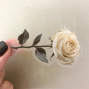 50 Stück PET wasserdicht transparent unfading getrocknete Rose Blumen aufkleber personal isierte Cartoon-Stil Cartoon-Aufkleber - Product Image 5