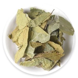 Extracto de Microcos <span class=keywords><strong>Paniculata</strong></span> 10:1, Extracto de Suaeda Salsa, Polvo de Microcos <span class=keywords><strong>Paniculata</strong></span>, Materias Primas Alimentarias Naturales de Alta Calidad - Product Image 2