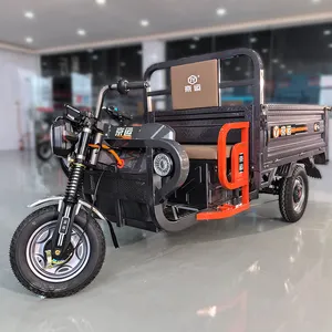 Triciclo de carga de alta potencia de 1300W triciclo eléctrico para uso agrícola triciclo eléctrico