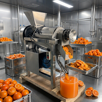 Industriële roestvrijstalen elektrische commerciële slowjuicer koudpersmachine voor sinaasappel, limoen, granaatappel en citrusvruchten