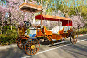 Chariot de Mariage Classique de Haute Qualité, Modèle Cendrillon, pour Visites Touristiques, 4 Roues, Offre Spéciale, Transport à Prix Réduit - Product Image 6