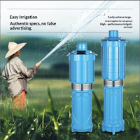 Pompe submersible multi-étages en acier inoxydable QD, pompe de puits profond de type sec 220V, pour l'alimentation en eau domestique et l'irrigation agricole