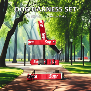 高級ナイロン犬用ハーネスリーシュセットレターペットアクセサリーCH1003フレンチブルドッグチワワ用その他中型大型小型品種 - Product Image 2