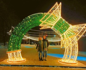 Giant LED Archway Motif <b>Light</b> Waterproof Christmas Tunnel <b>Light</b> Outdoor Plaza Mall Walk Through Photo Prop - Product Image 1