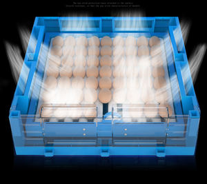 Goedkoopste Prijs Hot Koop Hoge Uitkomstpercentage Ei Incubator Hatcher - Product Image 6
