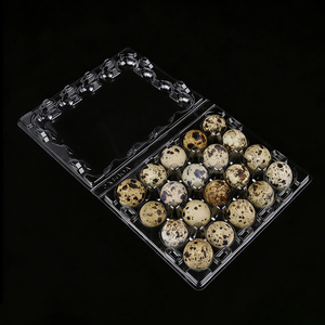 Plateau à œufs de caille de haute qualité à 18, 20, 24 ou 30 alvéoles, <span class=keywords><strong>en</strong></span> <span class=keywords><strong>plastique</strong></span> transparent, jetable, type blister, emballage pour œufs de caille - Product Image 1
