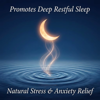 Tisane OEM en marque blanche aux graines de Ziziphus et Poria pour le sommeil, mélange de plantes relaxant et anti-stress, infusion chaude ou froide, vente en gros en vrac